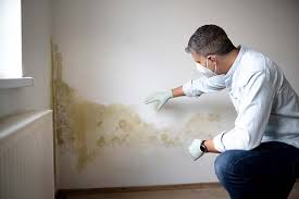 Environmental Consulting for Mold Prevention in Mount Ephraim, NJ